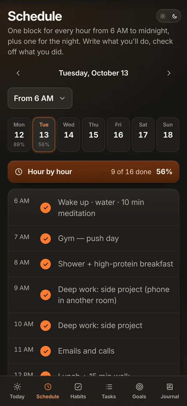 Schedule: one block per hour, checked as the day goes